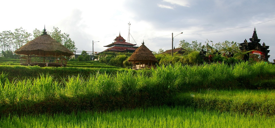Bali In Depth And Overland to Ijen