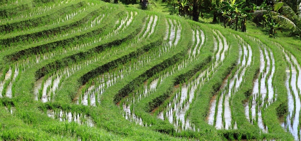 Cycling Bali’s Remote East Coast