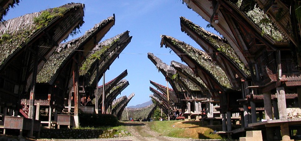 New Essential Sulawesi