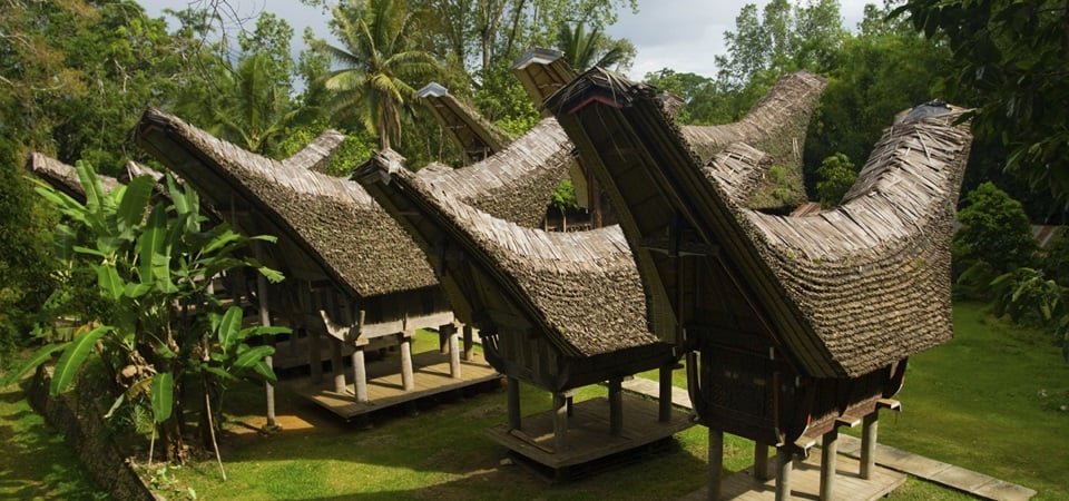 New Essential Sulawesi