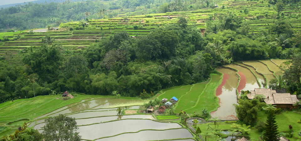 Mood of Romantic Hideaway with Traditional Balinese Wedding