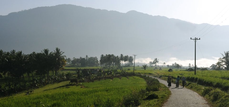 Java Temples, Plantation and Volcanoes