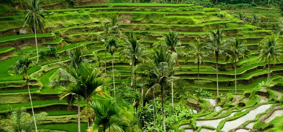 Midlife-Moon in Bali