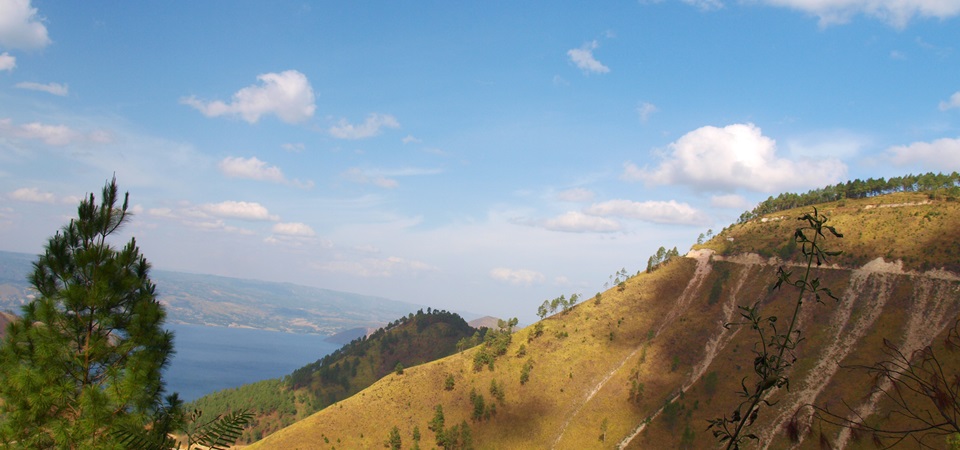 The Wild Wonders of North Sumatra