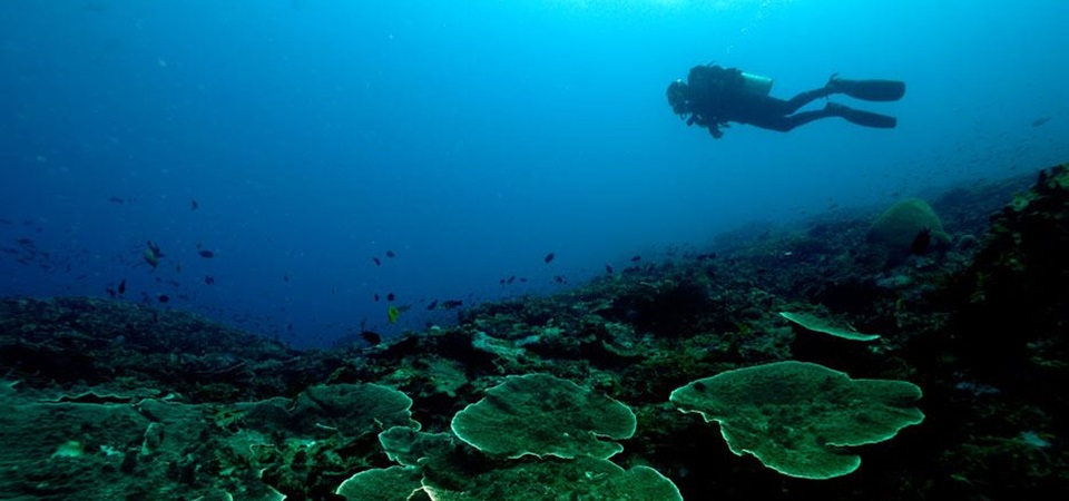 Siladen Island Escape - Bunaken