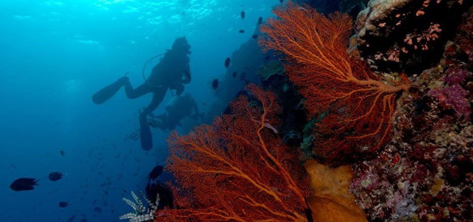 Siladen Island Escape - Bunaken