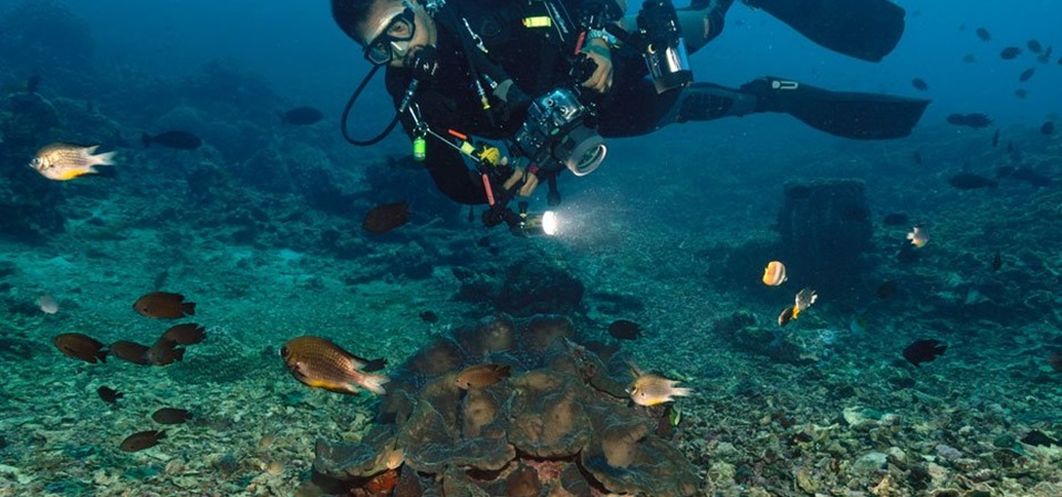 Siladen Island Escape - Bunaken