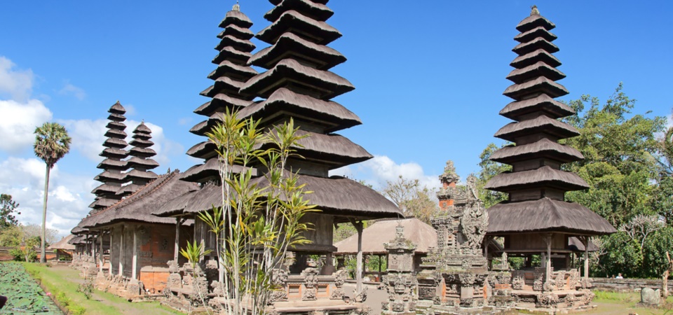 West Bali Nature and Buffaloes