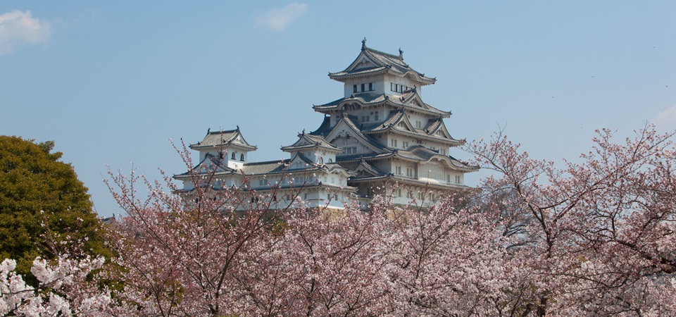 Conservation Hike and Onsen in Kawaguchiko