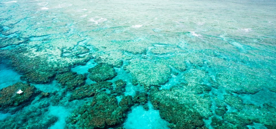 Okinawan Beach Break