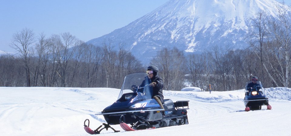 Powder Snow in Niseko