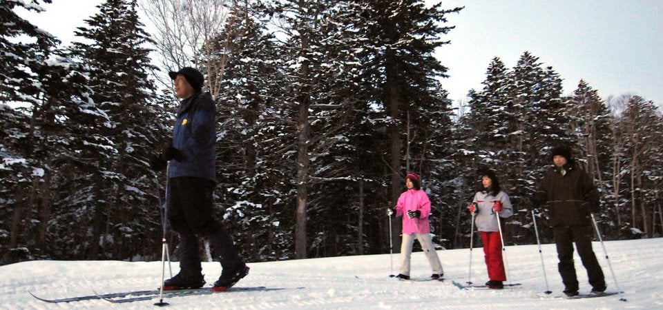 Powder Snow in Niseko