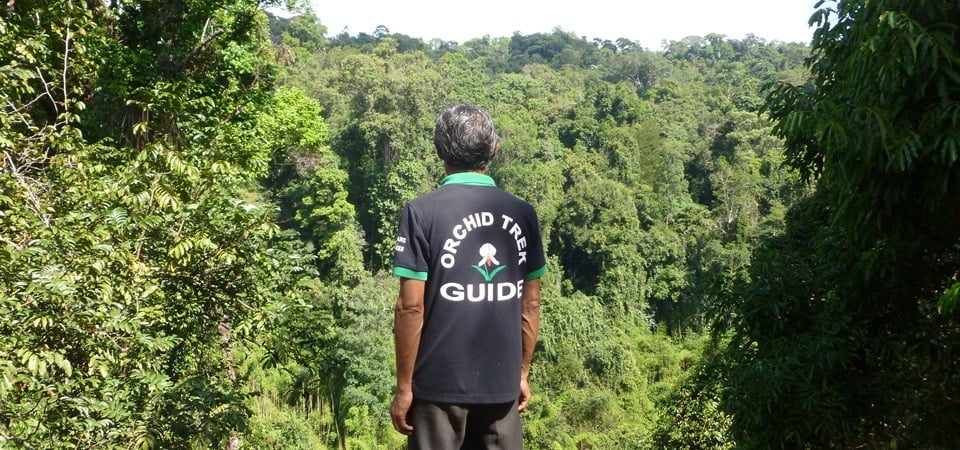 Buddhism and Blossoms in Vientiane