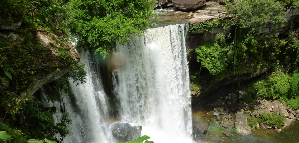 Buddhism and Blossoms in Vientiane