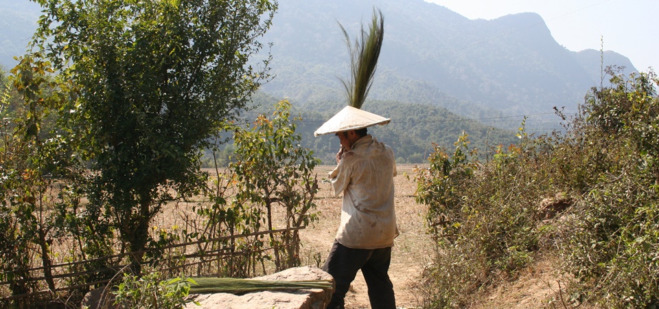 Hill Tribes & Scenic River Cruise