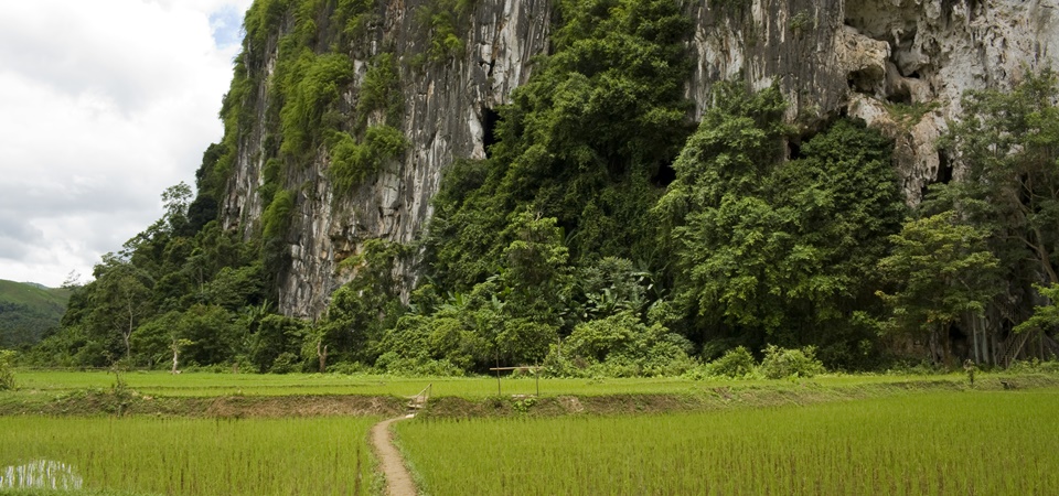 Hill Tribes & Scenic River Cruise