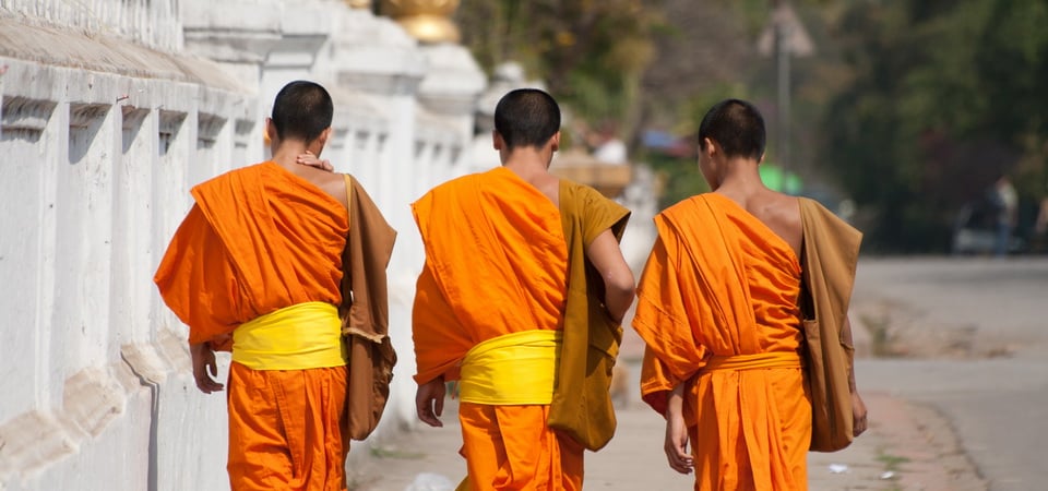 Rosewood Glamping & Soft Adventure