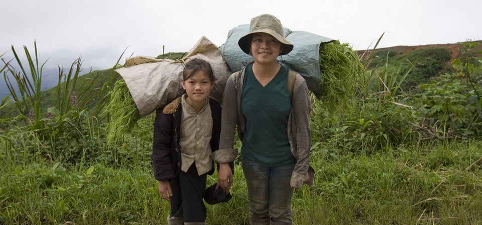 Luang Prabang Provincial Break