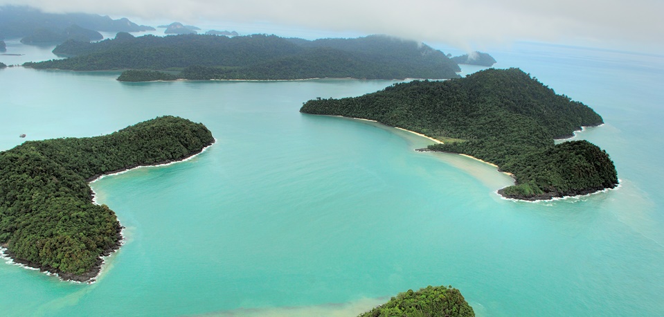 Cuisine, Homestay and Jungles - Northern Malaysia