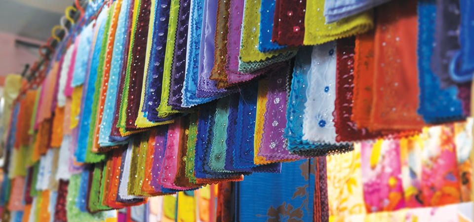 Cuisine, Homestay and Jungles - Northern Malaysia