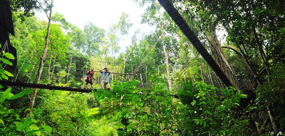 Cuisine, Homestay and Jungles - Northern Malaysia