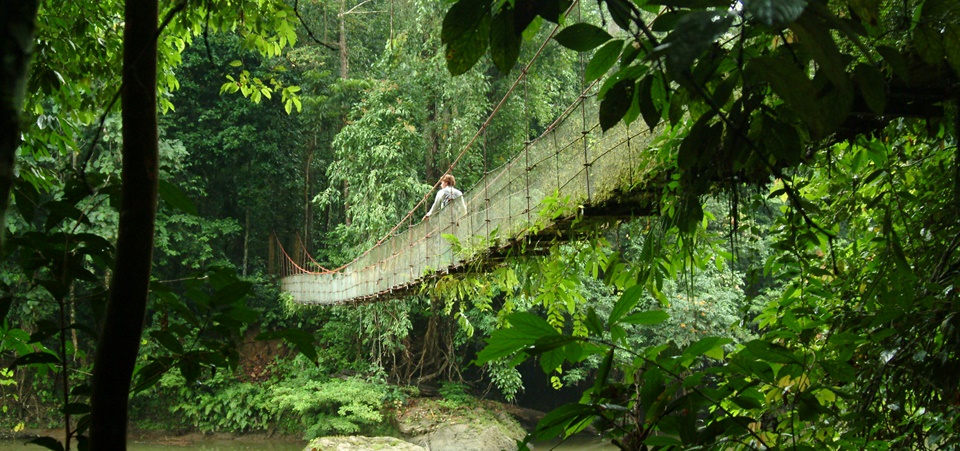 The Comfortable Naturalist Multi Day Sabah