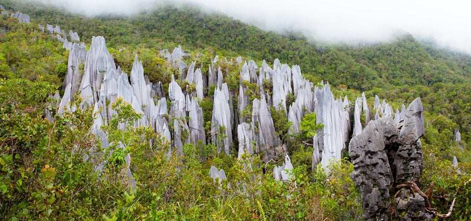 Trek the Headhunters Trail