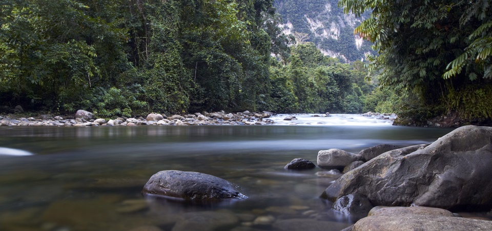 Trek the Headhunters Trail
