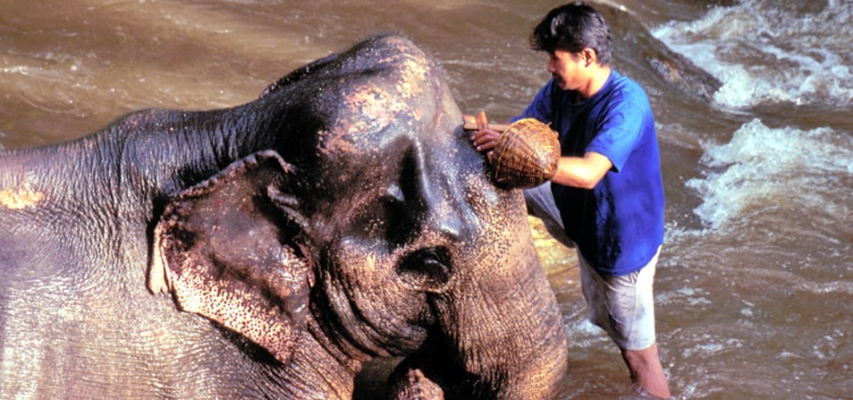 Chiang Dao Retreat & Lahu Way of Life