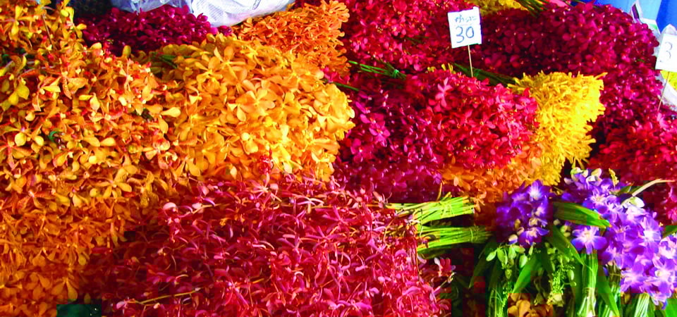 Food Trails of Thailand