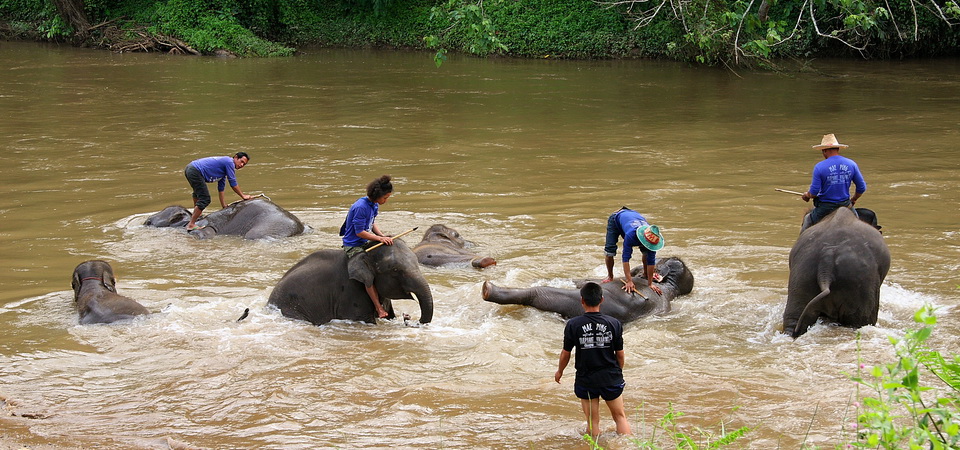 Highlights of The North