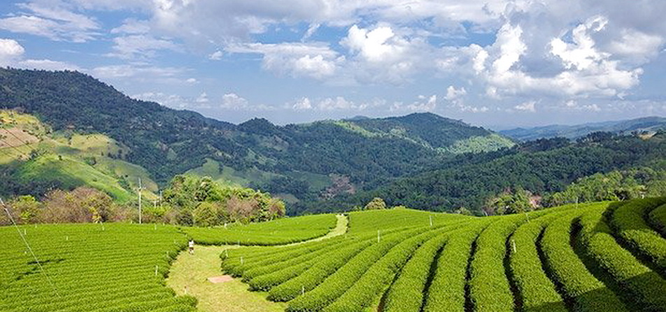 Highlights of The North