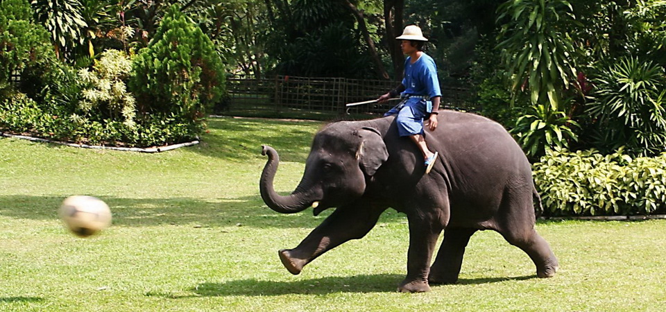 Highlights of The North