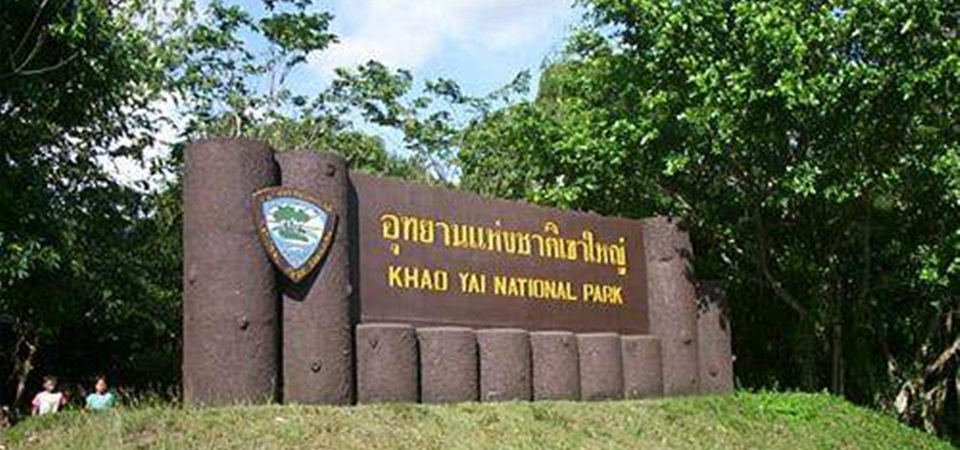 Khao Yai Escape