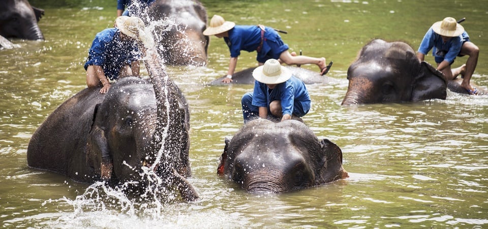 Lavish Lifestyles Thailand