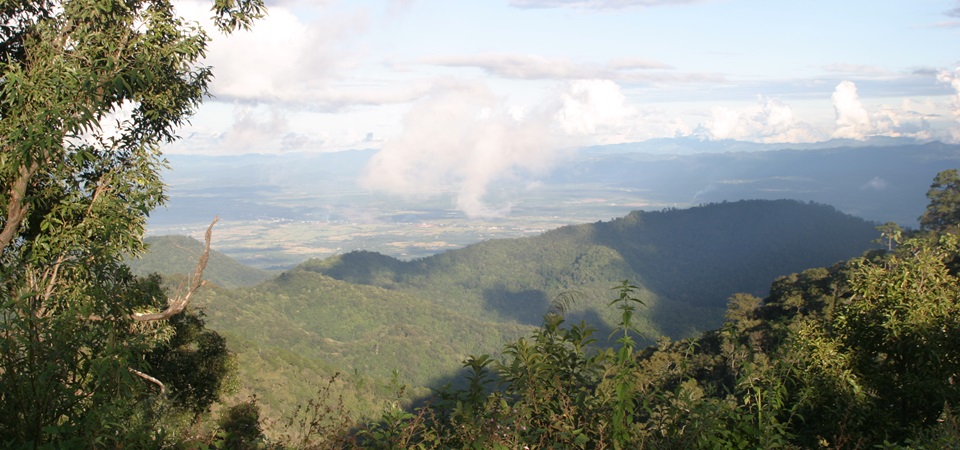 Mae Kampong Homestay