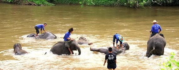 Perfect Thai Honeymoon