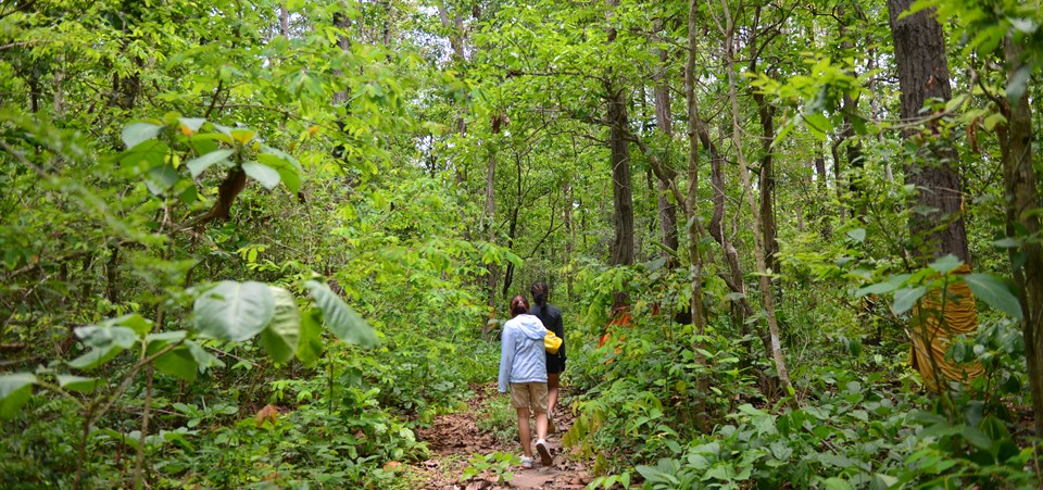 The Hidden Gem of The North