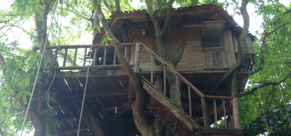 Tree Top Living Chiang Mai