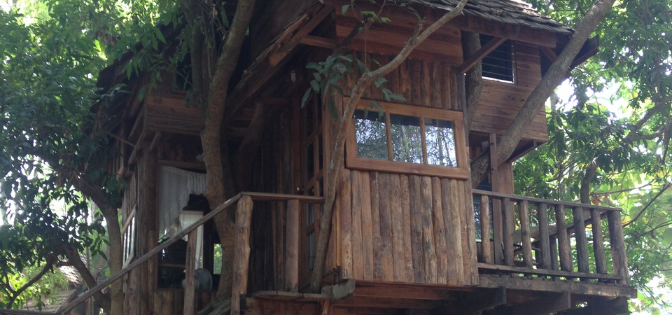 Tree Top Living Chiang Mai