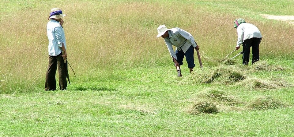 Through the Mekong, Ho Chi Minh to Phnom Penh