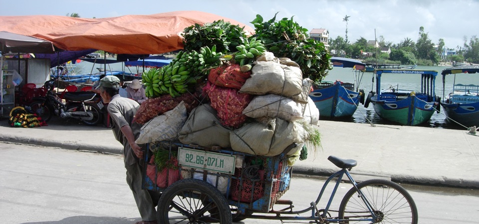 Central Vietnam Community Connections