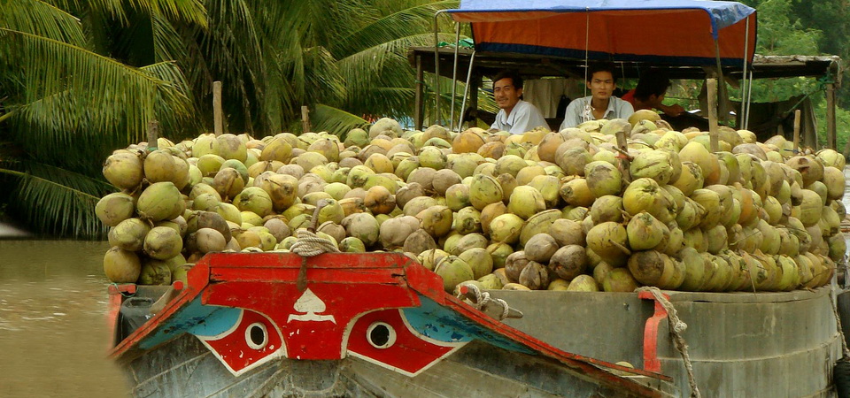 Cycling - Meandering The Mekong