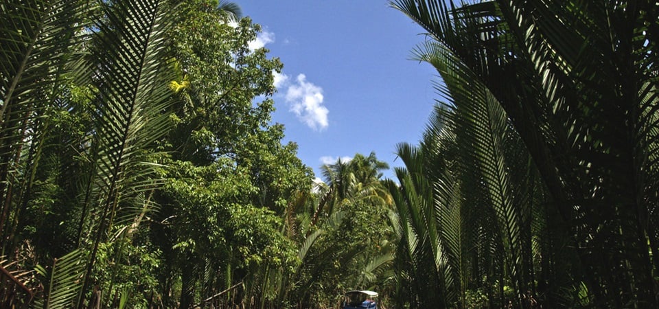 Mekong Delta Discovery: Sampans, Markets & More