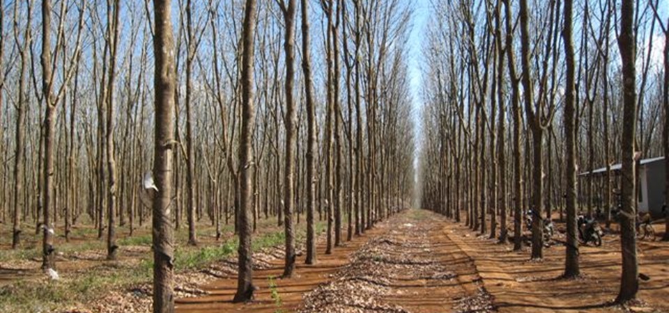 Discover Vietnam’s Central Highlands