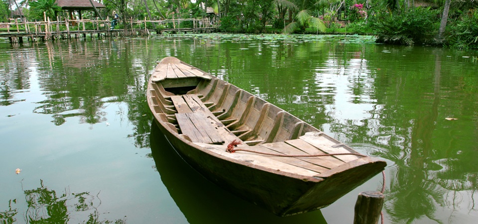 Unicorn Island - The Lush Mekong Delta