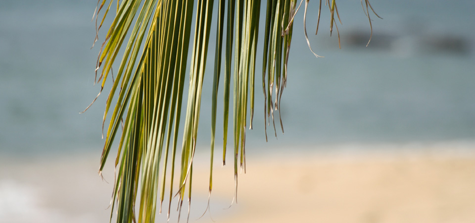 Phu Quoc Beach Break