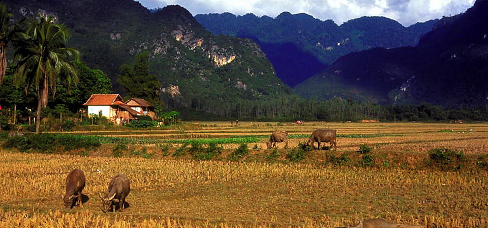 Pu Luong Village Trek