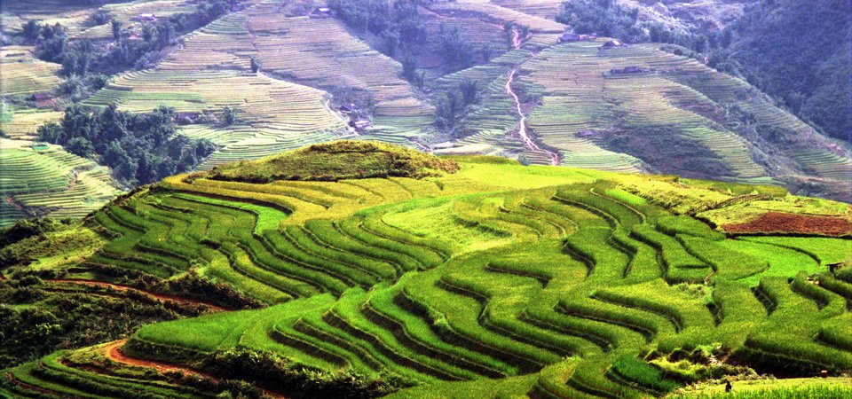 Trekking Vietnam’s Northwest Mountains In-Style