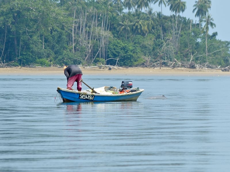 Heritage and Wildlife of Kuching